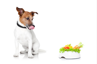 Fruits and Vegetables Your Pet Can Safely Eat