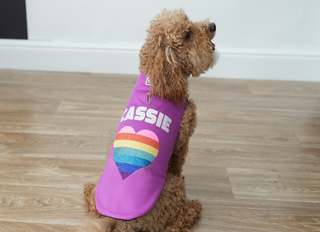 Cute light brown dog in a personalized coat with her name and a rainbow heart from Canine Comfy