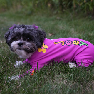 Personalized Dog Suits, Vests and Bandanas