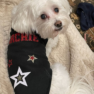 Personalized Dog Suits, Vests and Bandanas