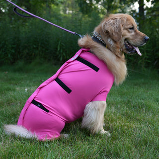 The Female Athlete Dog Suit