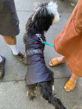 Load image into Gallery viewer, ‘Grow with Me’ Coat