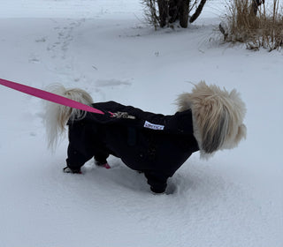 Water Resistant Fleece Lined Snow Suit