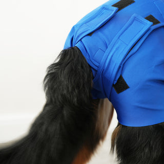Male Neuter/Full Coverage Suit with Movable Potty Flap