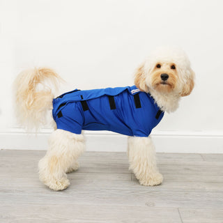 Male Neuter/Full Coverage Suit with Movable Potty Flap