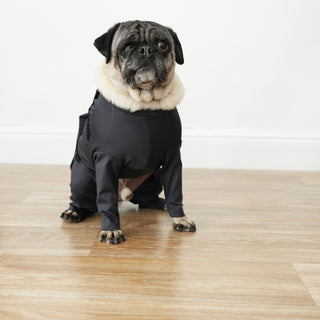 All Pups Suit With Open Private Areas