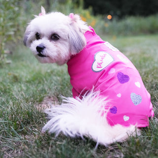 Personalized Dog Suits, Vests and Bandanas