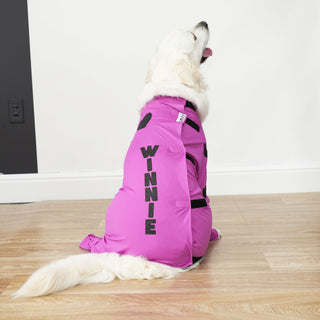 Personalized Dog Suits, Vests and Bandanas