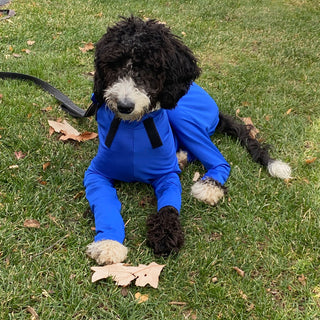 Male Neuter/Full Coverage Suit with Movable Potty Flap