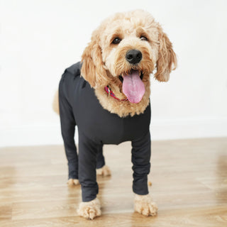 The Male Athlete Dog Suit