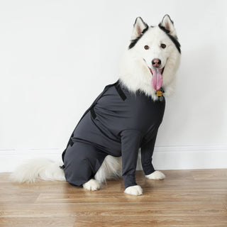 Male Neuter/Full Coverage Suit with Movable Potty Flap
