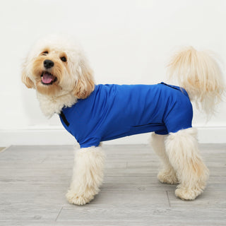 Male Neuter/Full Coverage Suit with Movable Potty Flap