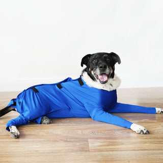 Male Neuter/Full Coverage Suit with Movable Potty Flap