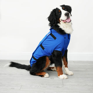 Male Neuter/Full Coverage Suit with Movable Potty Flap