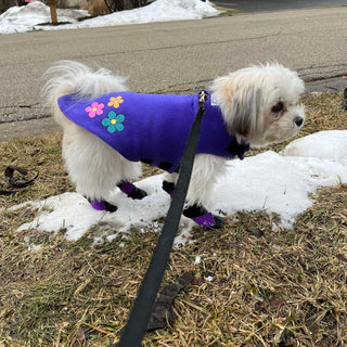 Personalized Dog Suits, Vests and Bandanas