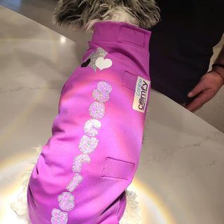 Personalized Dog Suits, Vests and Bandanas