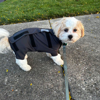 Male Neuter/Full Coverage Suit with Movable Potty Flap