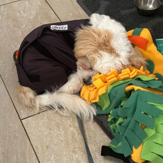 Male Neuter/Full Coverage Suit with Movable Potty Flap