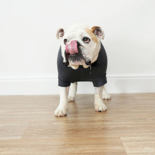 Male Neuter/Full Coverage Suit with Movable Potty Flap