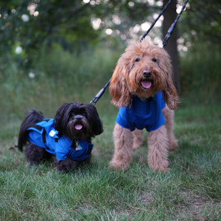 Male Neuter/Full Coverage Suit with Movable Potty Flap