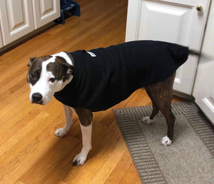 Coat - Standard Single Layer (Starting at $39.99)