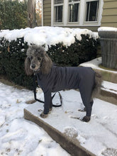 Load image into Gallery viewer, Canine Comfy, protective dog clothing including dog bodysuit and dog booties, the comfy alternative to the cone of shame
