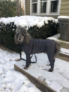 Canine Comfy, protective dog clothing including dog bodysuit and dog booties, the comfy alternative to the cone of shame