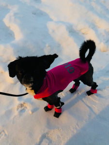 Coat - Standard Single Layer (Starting at $39.99)