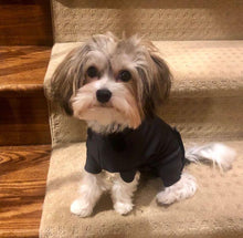 Load image into Gallery viewer, All Pups Athletic Suit (starting at $44.99)