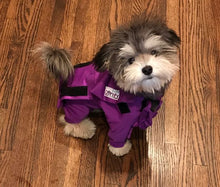 Load image into Gallery viewer, Canine Comfy, protective dog clothing including dog bodysuit and dog booties, the comfy alternative to the cone of shame