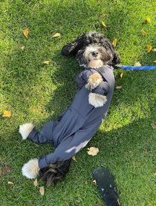 Canine Comfy, protective dog clothing including dog bodysuit and dog booties, the comfy alternative to the cone of shame