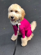 Load image into Gallery viewer, Canine Comfy, protective dog clothing including dog bodysuit and dog booties, the comfy alternative to the cone of shame