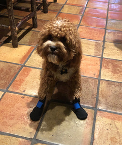Booties - Medical/Indoor (starting at $49.99)