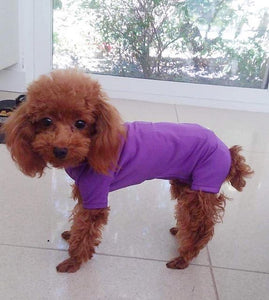 Canine Comfy, protective dog clothing including dog bodysuit and dog booties, the comfy alternative to the cone of shame