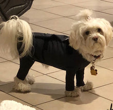 Load image into Gallery viewer, Canine Comfy, protective dog clothing including dog bodysuit and dog booties, the comfy alternative to the cone of shame