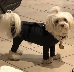 Canine Comfy, protective dog clothing including dog bodysuit and dog booties, the comfy alternative to the cone of shame