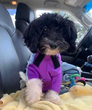 Load image into Gallery viewer, All Pups Athletic Suit (starting at $44.99)