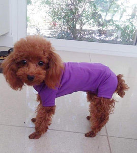 Canine Comfy Original Dog Suit (starting at $44.99)