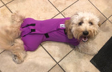 Load image into Gallery viewer, Canine Comfy, protective dog clothing including dog bodysuit and dog booties, the comfy alternative to the cone of shame