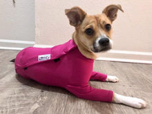 Load image into Gallery viewer, Canine Comfy, protective dog clothing including dog bodysuit and dog booties, the comfy alternative to the cone of shame