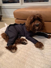 Load image into Gallery viewer, Canine Comfy, protective dog clothing including dog bodysuit and dog booties, the comfy alternative to the cone of shame