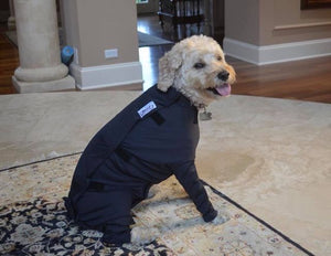 Canine Comfy, protective dog clothing including dog bodysuit and dog booties, the comfy alternative to the cone of shame