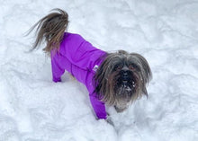 Load image into Gallery viewer, Canine Comfy, protective dog clothing including dog bodysuit and dog booties, the comfy alternative to the cone of shame