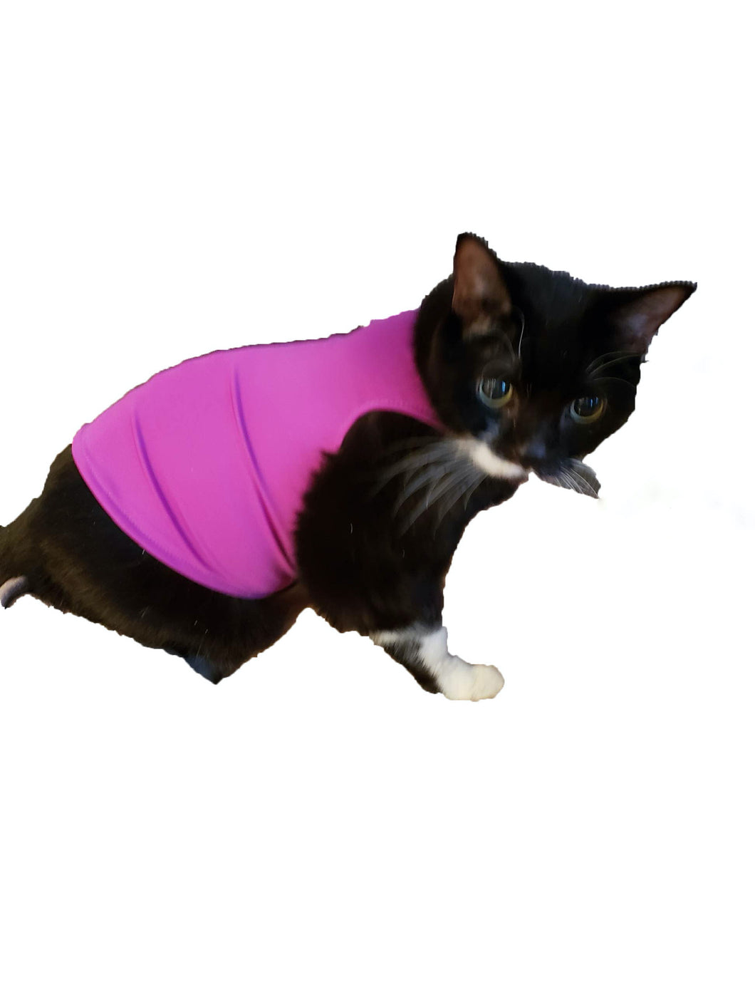 Canine Comfy Cat Coat (Starting at $44.99)