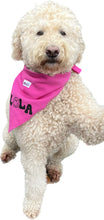 Load image into Gallery viewer, Bandanas - FLEECE