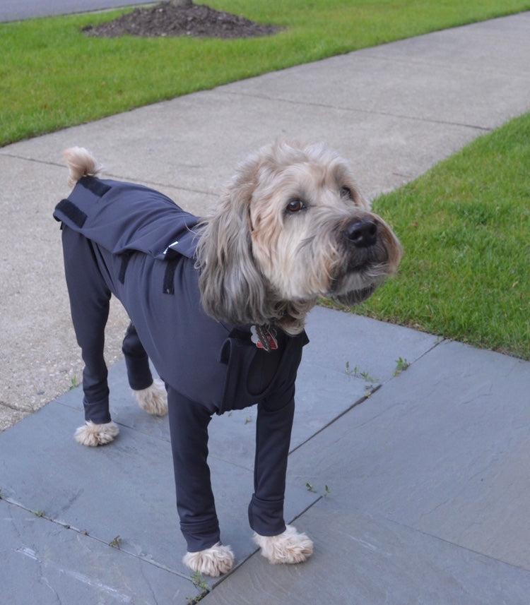 Canine Comfy, protective dog clothing including dog bodysuit and dog booties, the comfy alternative to the cone of shame