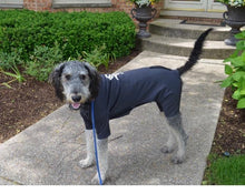 Load image into Gallery viewer, Canine Comfy Original Dog Suit (starting at $44.99)