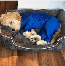 Load image into Gallery viewer, Canine Comfy, protective dog clothing including dog bodysuit and dog booties, the comfy alternative to the cone of shame