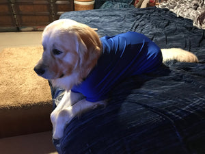 Canine Comfy Original Dog Suit (starting at $44.99)