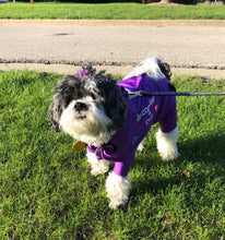 Load image into Gallery viewer, Canine Comfy Original Dog Suit (starting at $44.99)